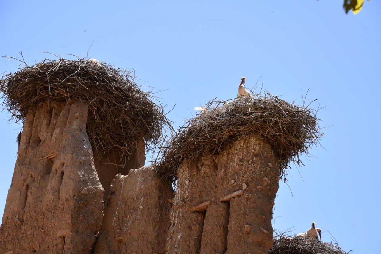 Maison D'Hotes Dar Afra Ait Ziri Exterior foto